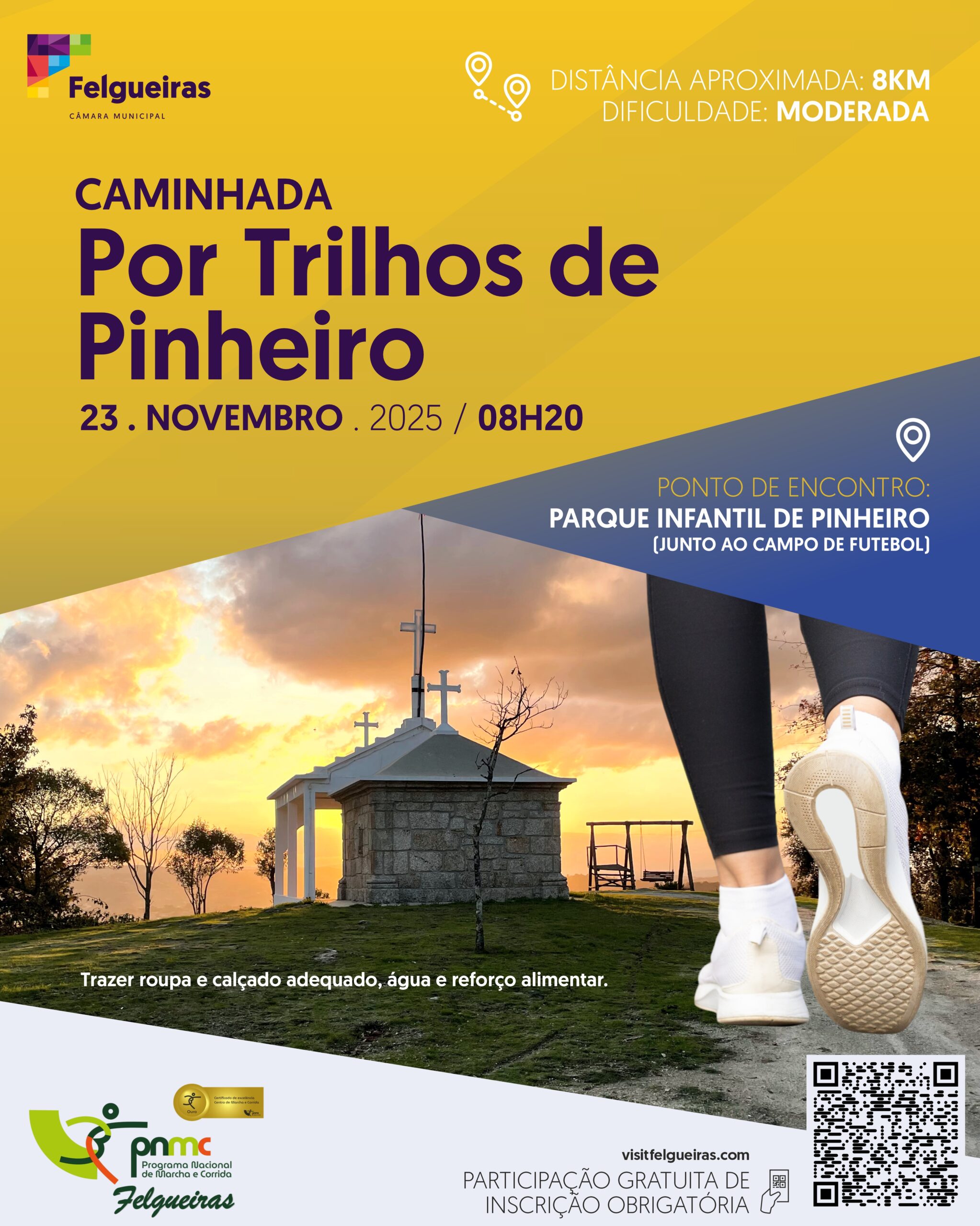 Caminhada por trilhos de pinheiro