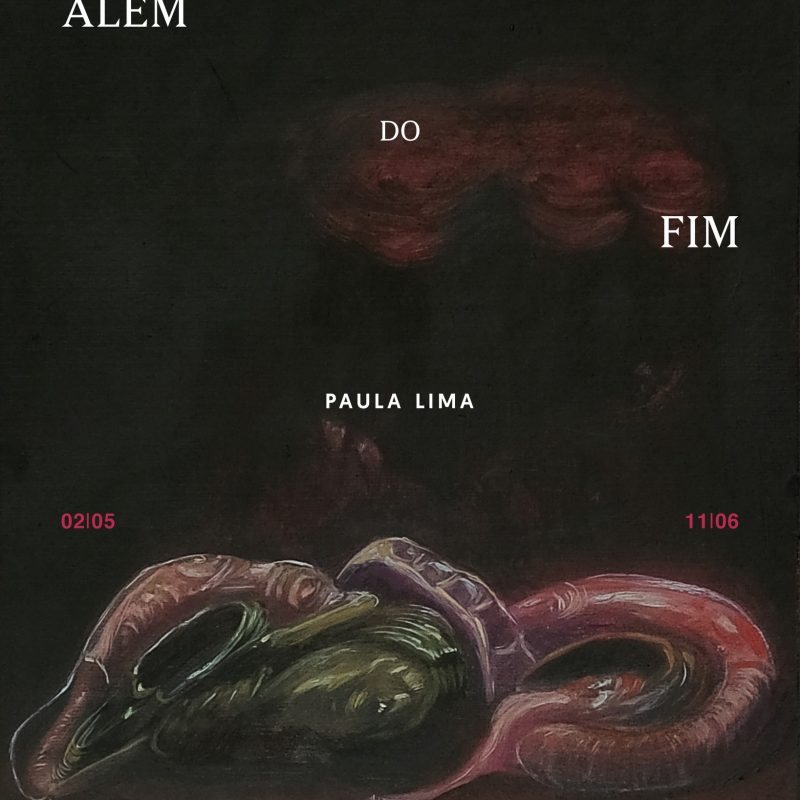 Além do Fim