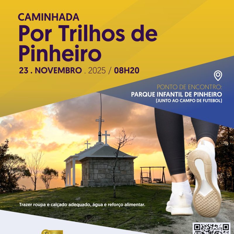 Caminhada por trilhos de pinheiro